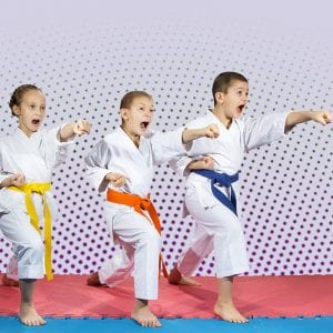 Martial Arts Lessons for Kids in Columbia MO - Punching Focus Kids Sync